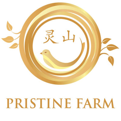 Pristine Farm Bird Nest